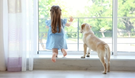 Window Boards Home Page Category Link